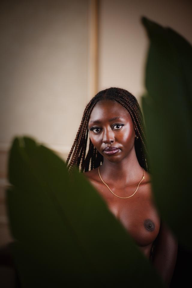 
                  
                    
                     NIKON CORPORATION 
                     NIKON Z f 
                  
                  