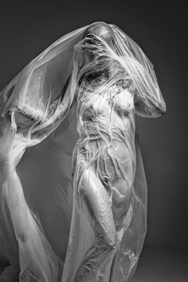 
                  
                    
                     NIKON CORPORATION 
                     NIKON Z f 
                  
                  